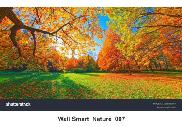 NATURAL CUSTOMISE WALLPAPER 282