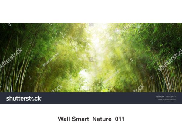 NATURAL CUSTOMISE WALLPAPER 286