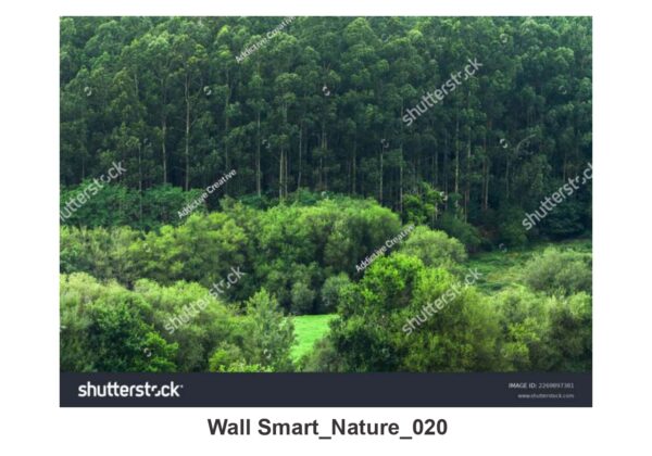 NATURAL CUSTOMISE WALLPAPER 295