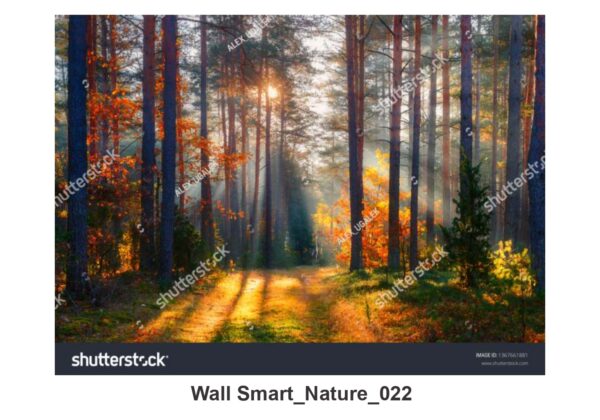 NATURAL CUSTOMISE WALLPAPER 297