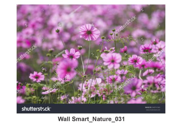 NATURAL CUSTOMISE WALLPAPER 306