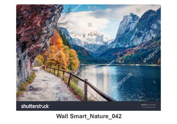 NATURAL CUSTOMISE WALLPAPER 317