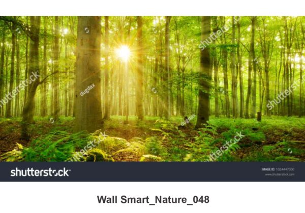 NATURAL CUSTOMISE WALLPAPER 323