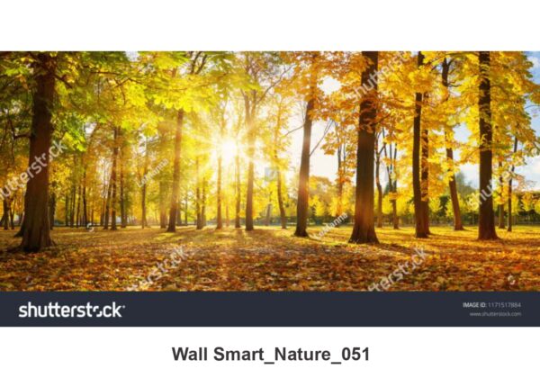 NATURAL CUSTOMISE WALLPAPER 326