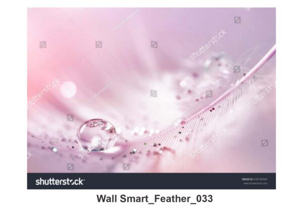 NATURAL CUSTOMISE WALLPAPER 065